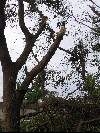 IMG_0413.jpg